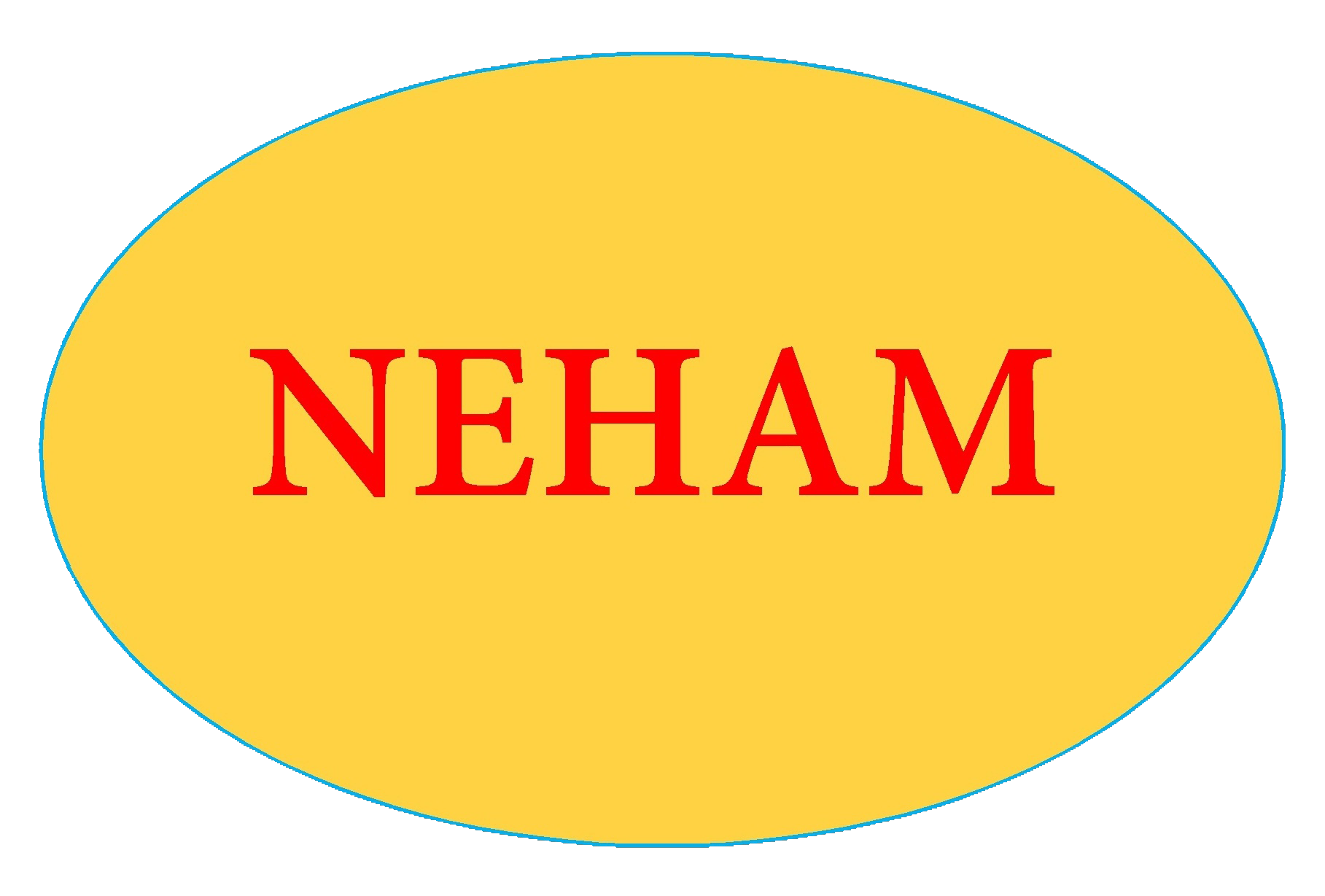 NEHAM INTERNATIONAL BUSINESS PLC
